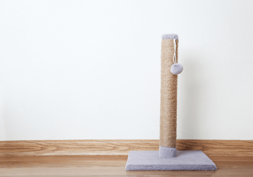 DIY cat scratching post