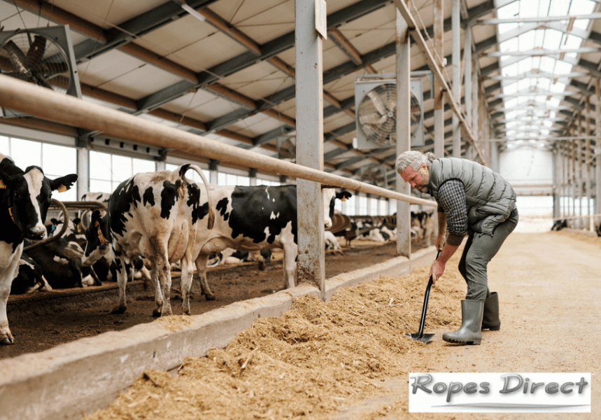 Dairy farm that uses polysteel rope
