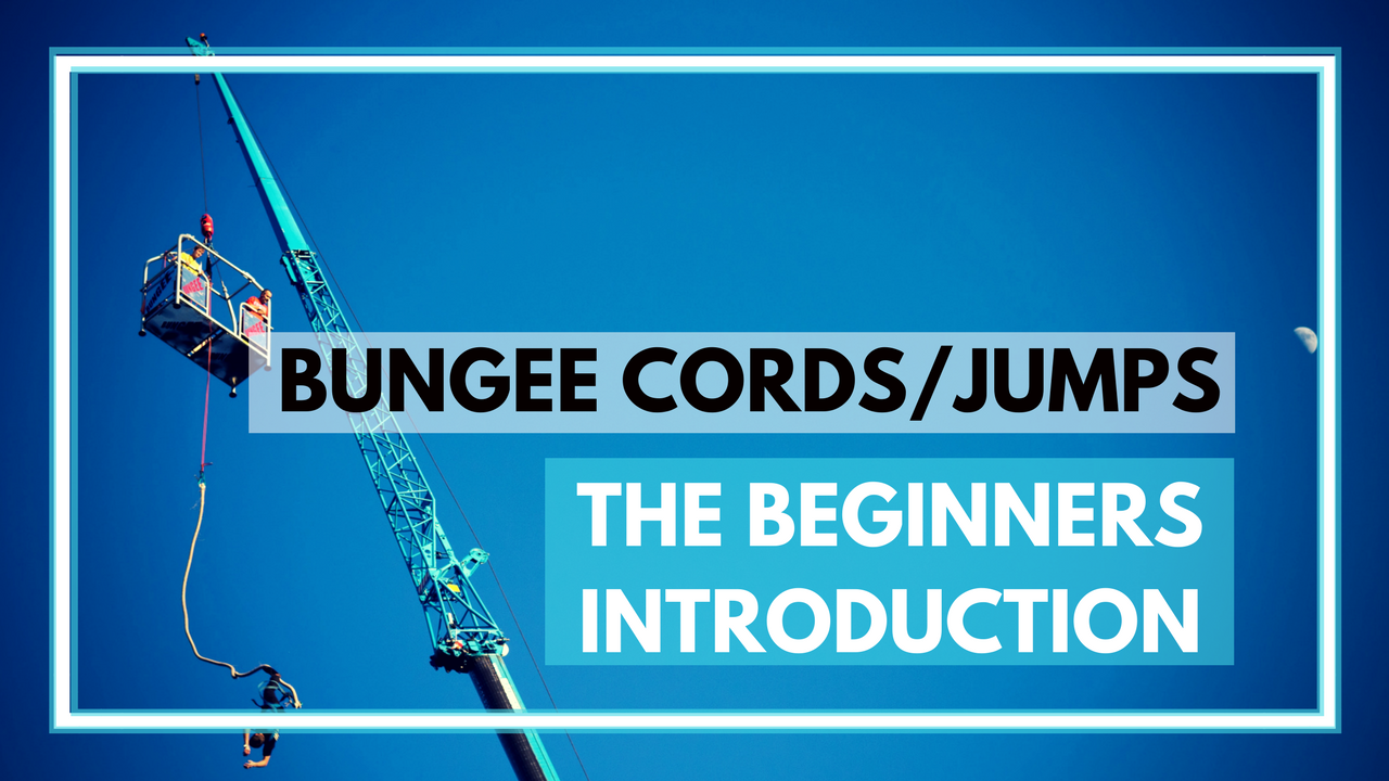 Bungee cords cover