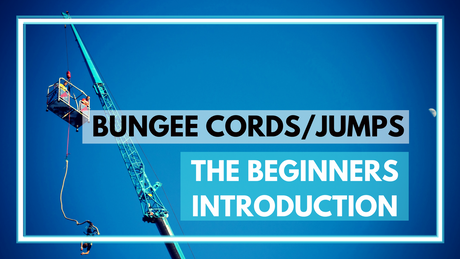 Bungee cords cover