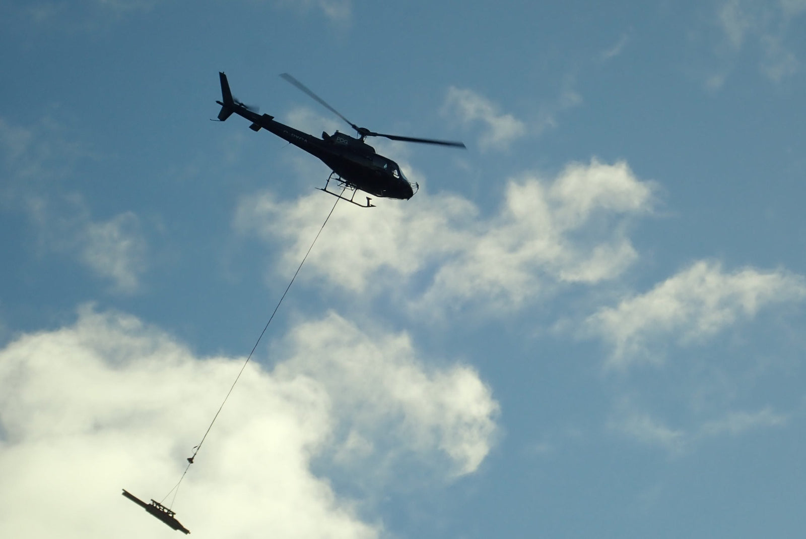 rope flies with forestry