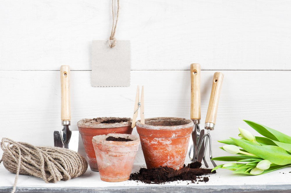 Transform Your Garden With Decking Rope