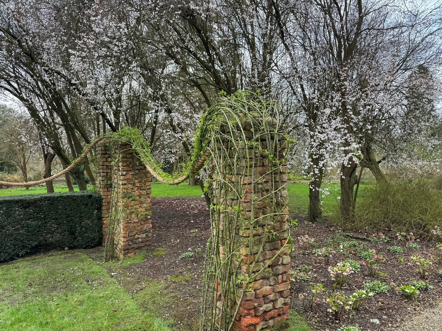 Manila Rope plant supports at Newby Hall