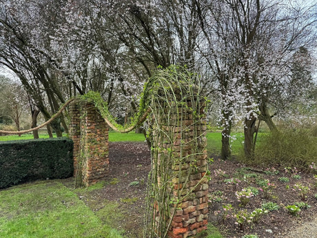 Manila Rope plant supports at Newby Hall