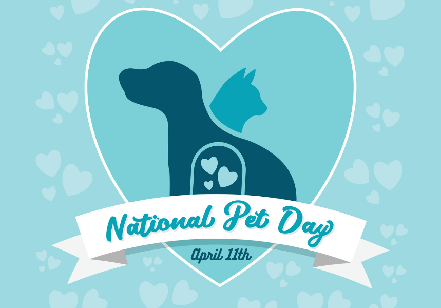 Advert for National Pet Day