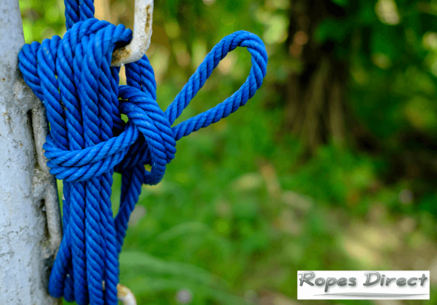 Polyester rope tied to tree