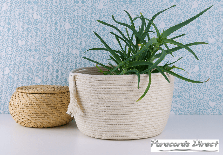 rope basket made from cotton cord