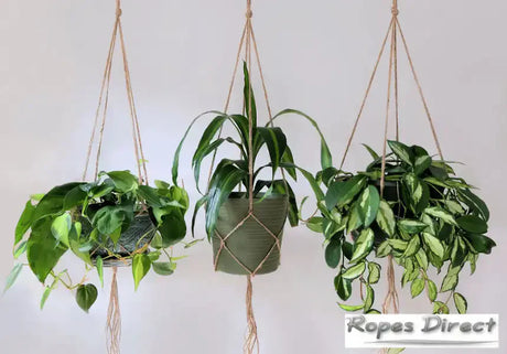 Examples of rope plant hangers
