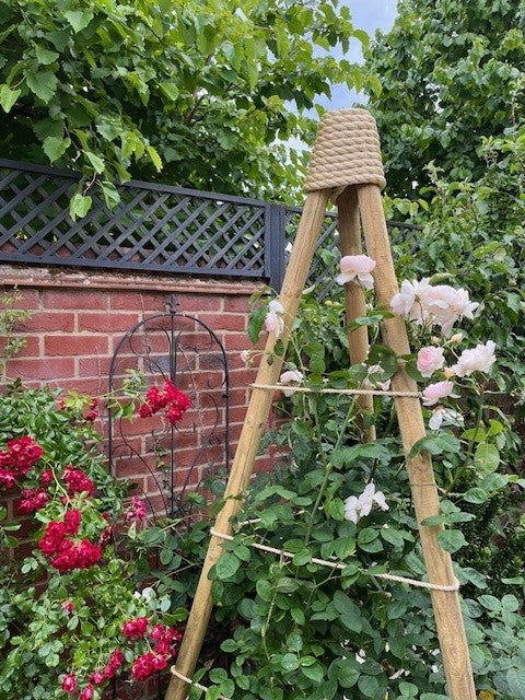 A rose tripod using synthetic sisal from RopesDirect