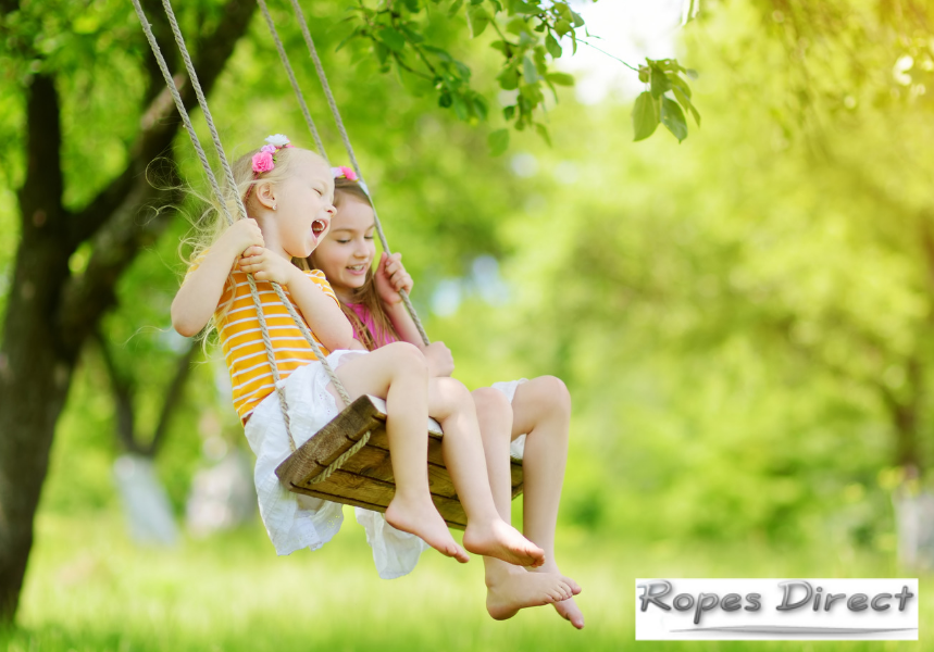 two children playing on a tree swing