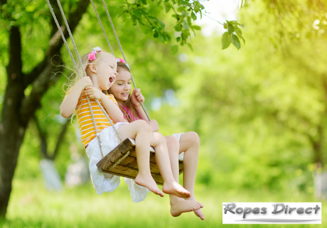 two children playing on a tree swing