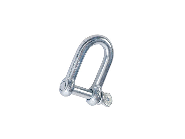 Dee Shackles