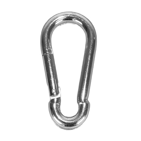 A silver metal carabiner hook with a spring-loaded gate, shown on a plain white background.