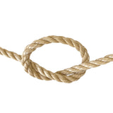 close-up of a knot of beige rope on a white background