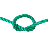 Green rope tied in a knot on a white background