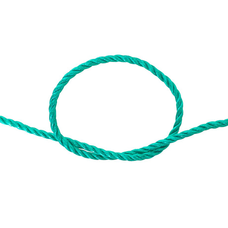 knot of green rope on a white background