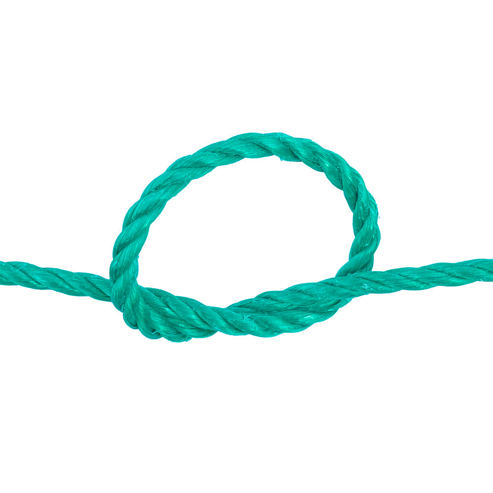 green rope in a knot on a white background