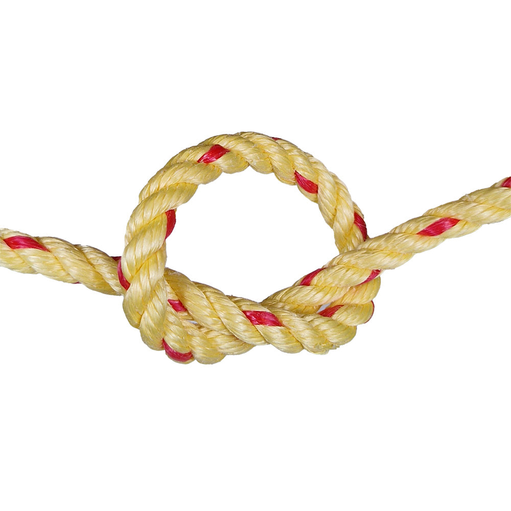 Yellow rope with red accents tied in a knot on a white background