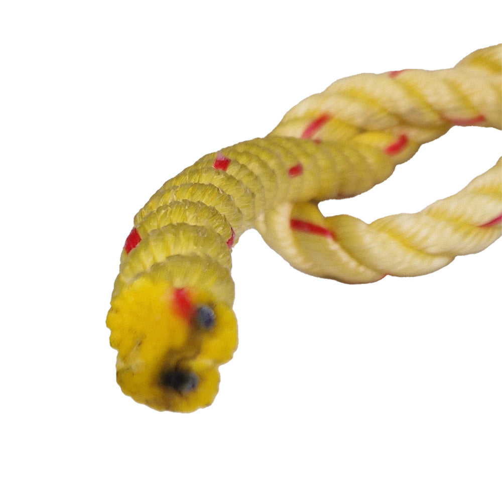 Close-up end view of yellow rope with red accents on a white background