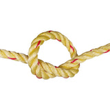 Yellow rope with red accents tied in a knot on a white background