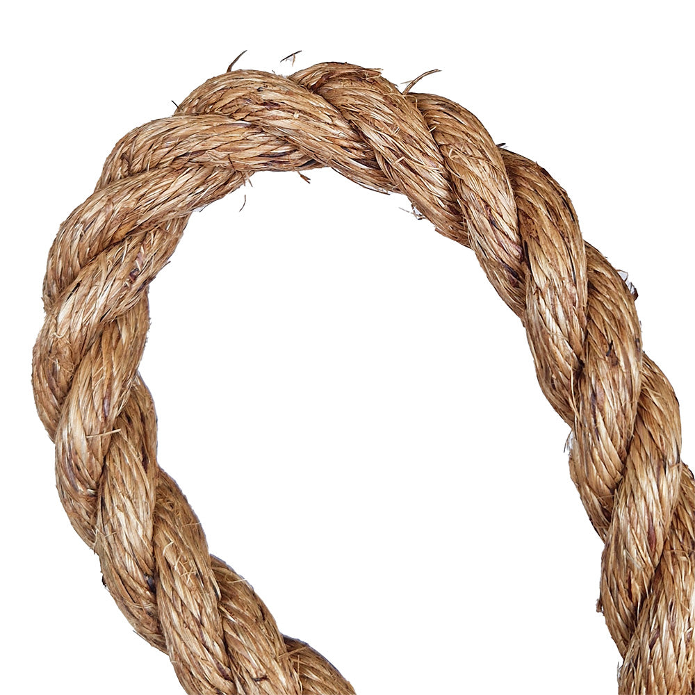 Close-up of a loop of brown rope on a white background