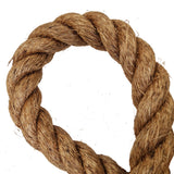 Close-up of a loop of brown rope on a white background