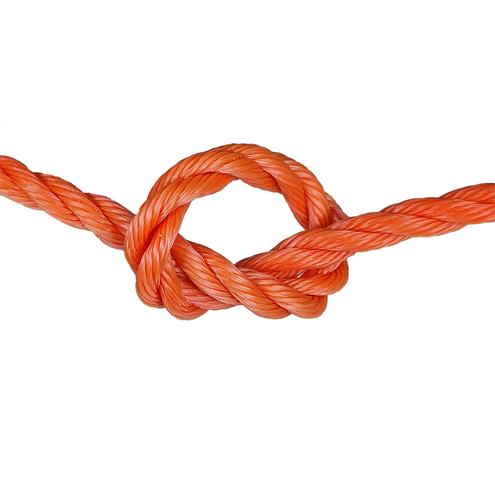 Orange rope with a knot on a white background