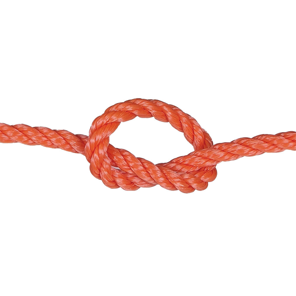 Orange rope with a knot on a white background