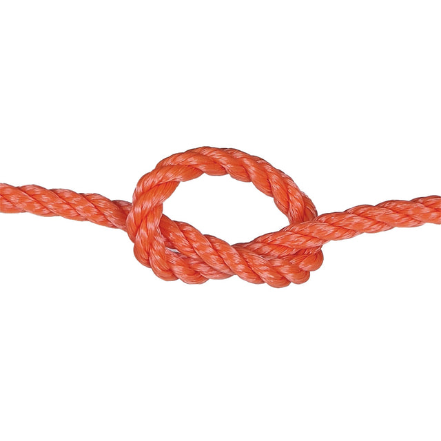 Orange rope with a knot on a white background