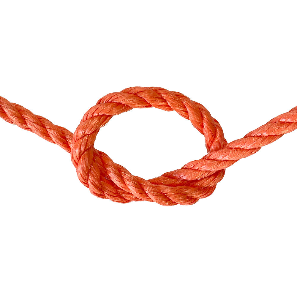 Orange rope with a knot on a white background