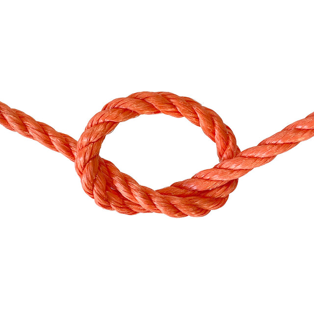 Orange rope with a knot on a white background