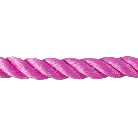 Close-up of pink rope on a white background