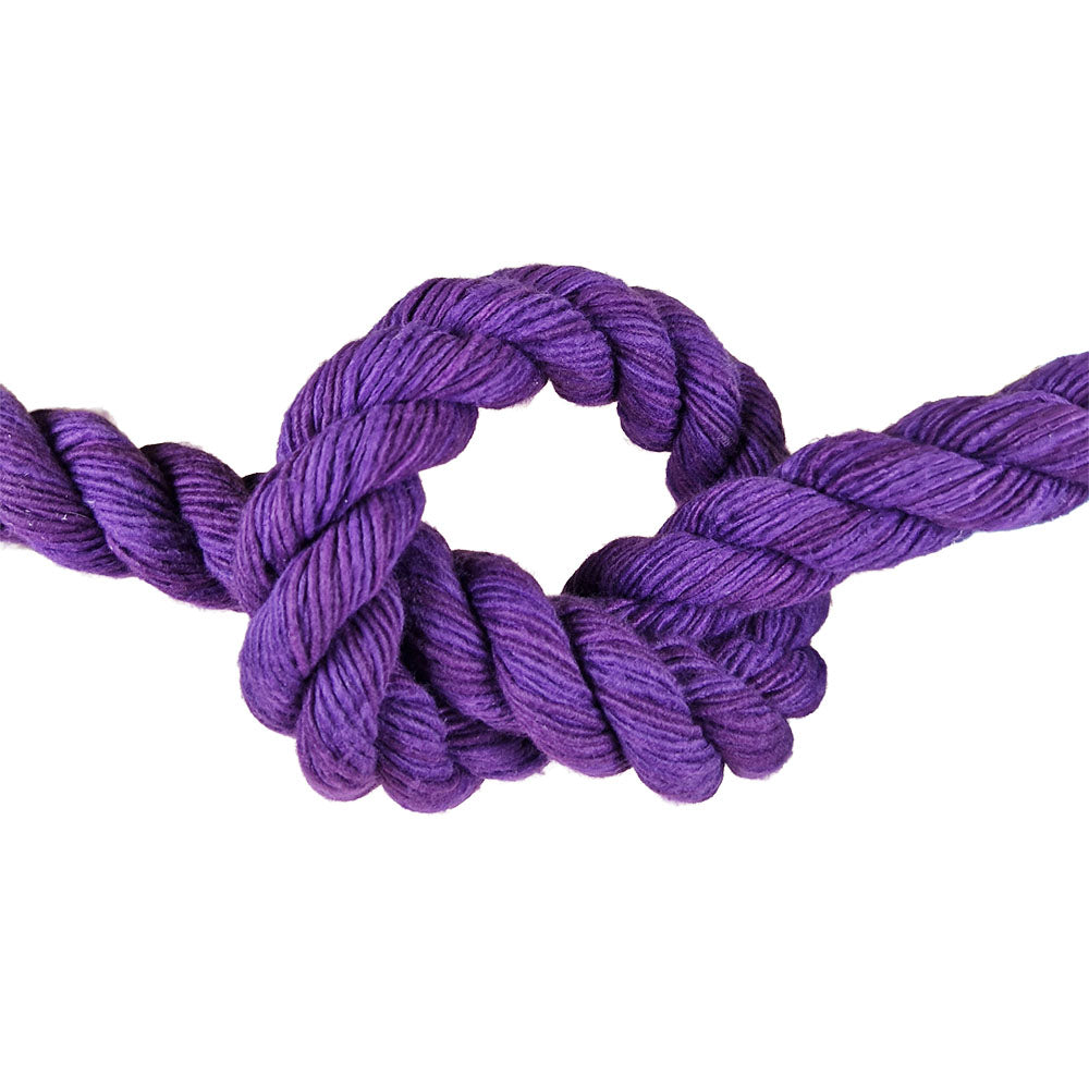 Purple barrier rope in a knot on a white background