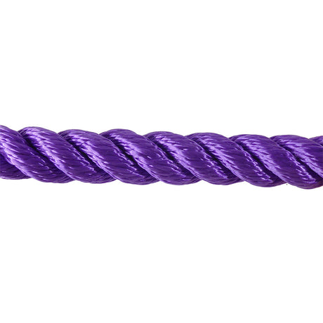 Close-up of purple rope on a white background