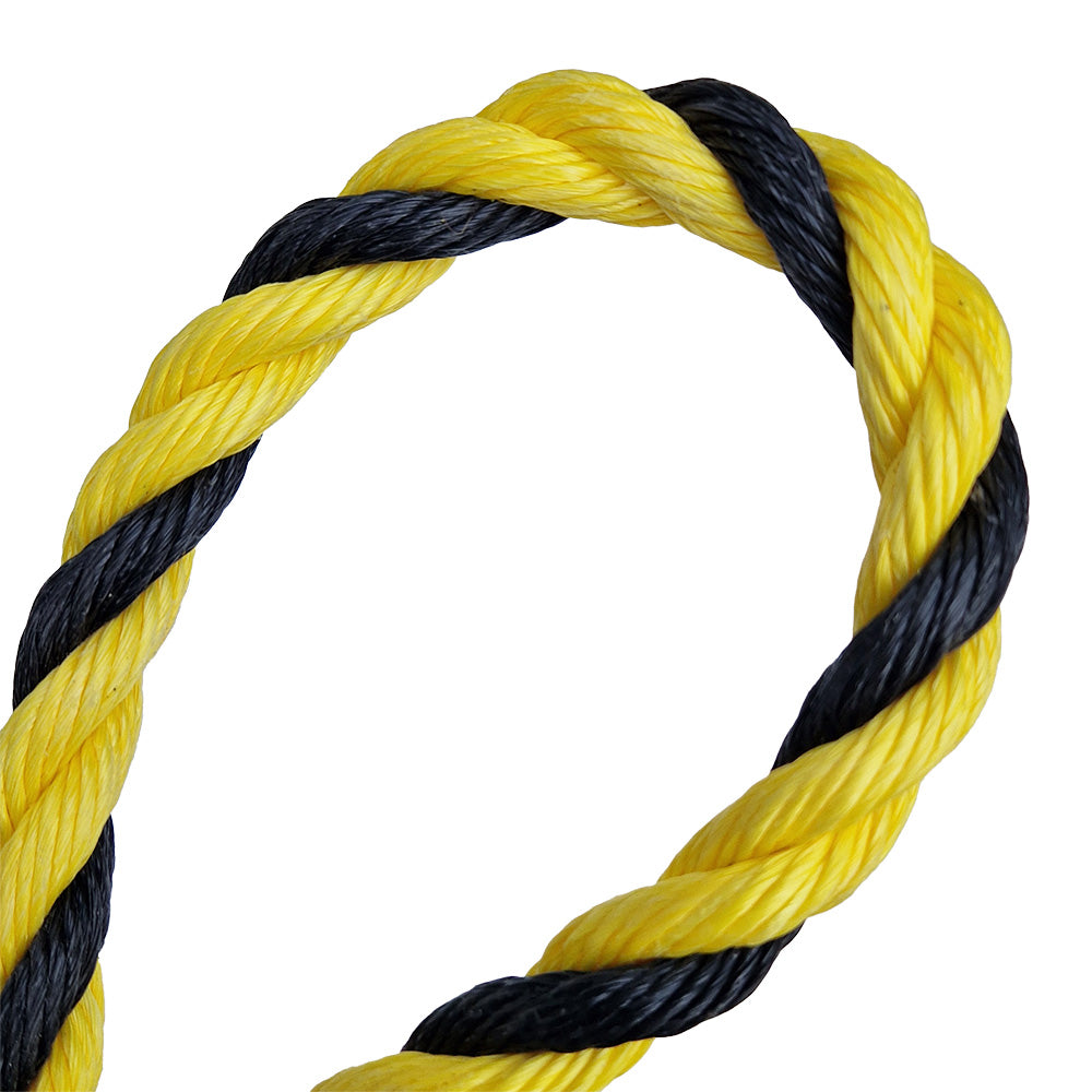 Yellow and black rope on a white background