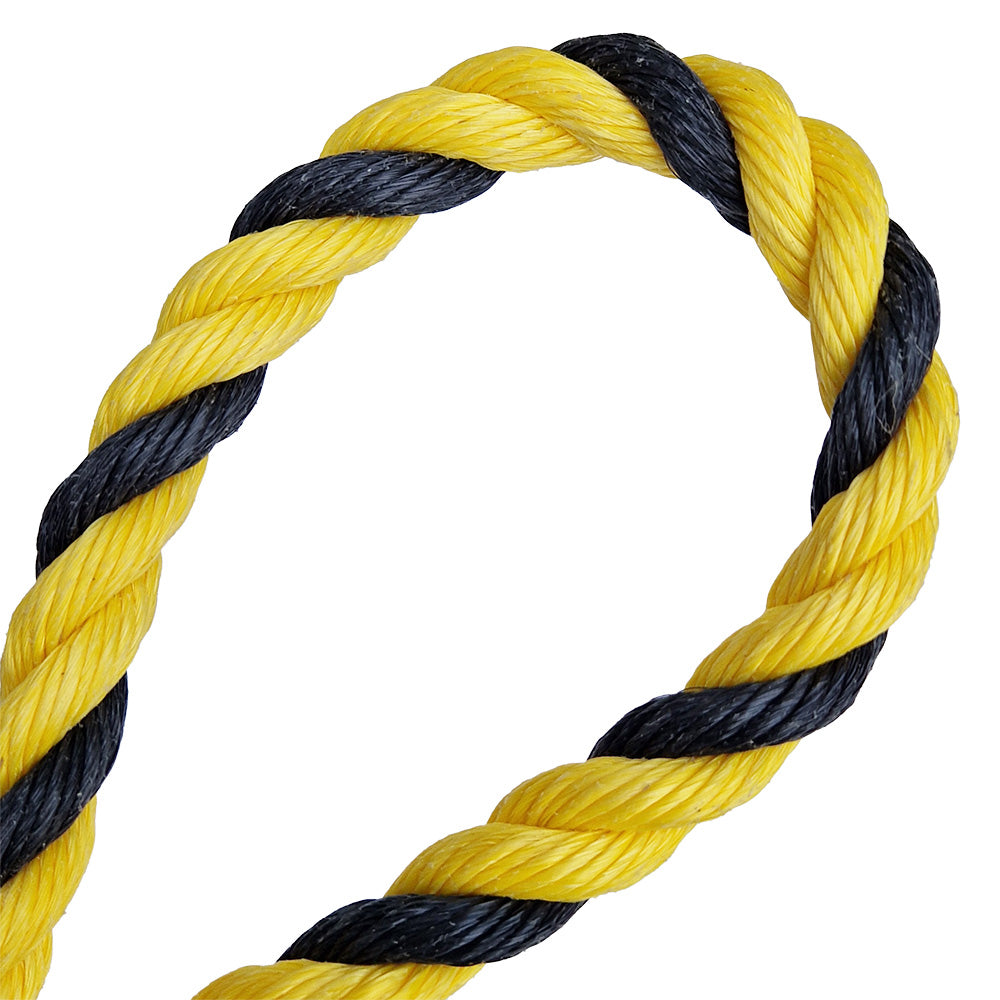 Yellow and black rope on a white background