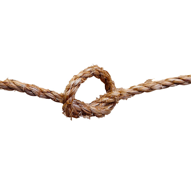 Close-up of a knotted brown rope on a white background